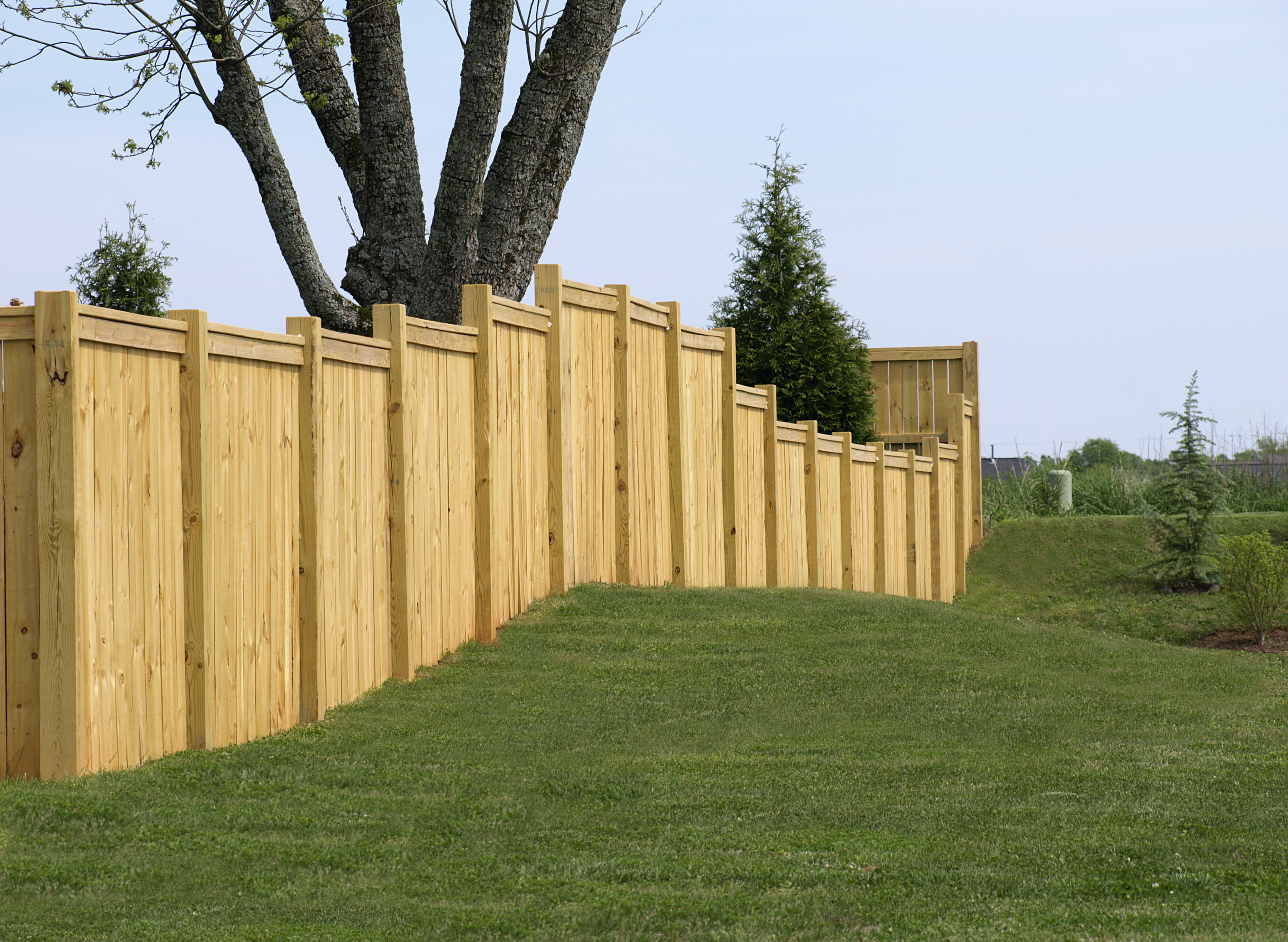 Privacy Fences For Backyards