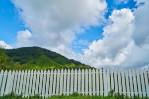 Fence & Deck Staining showcase photo