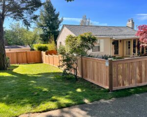 Fence & Deck Staining showcase photo